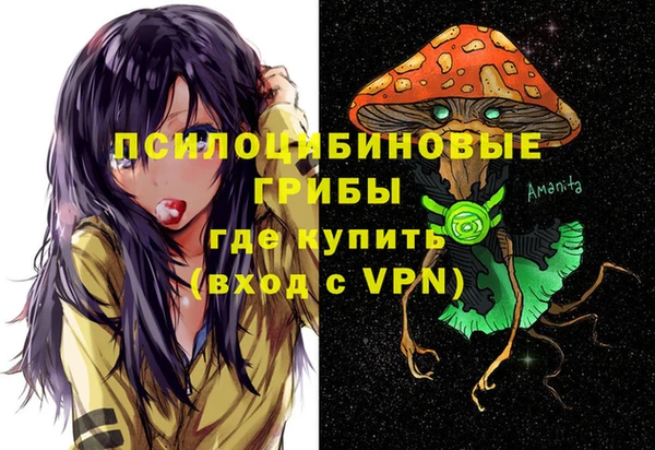 PSILOCYBIN Армянск
