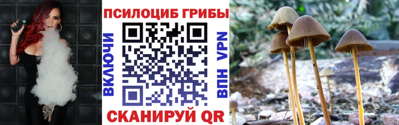магазин Ельня Псилоцибиновые грибы MAGIC MUSHROOMS